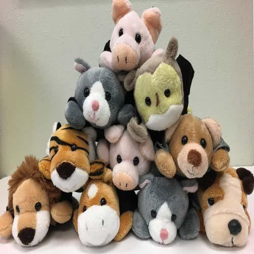 Chukars Chublet Toys Idaho Falls Chukars Official Store