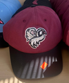 Adjustable Chukars Cap