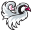 logo of Idaho Falls Chukars Official Store